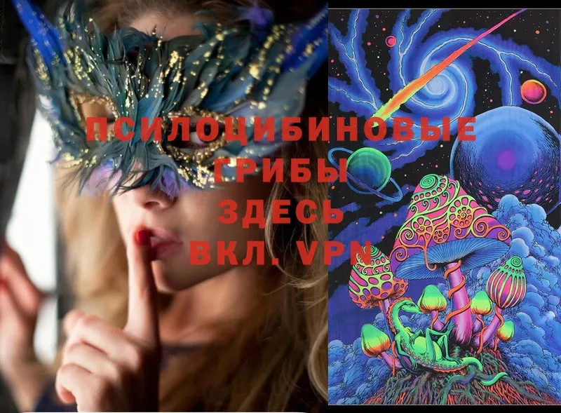 купить  цена  Канск  Псилоцибиновые грибы Magic Shrooms 